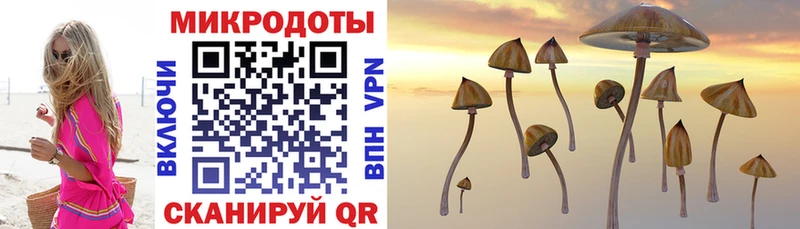 Галлюциногенные грибы мицелий  Ленинградская 